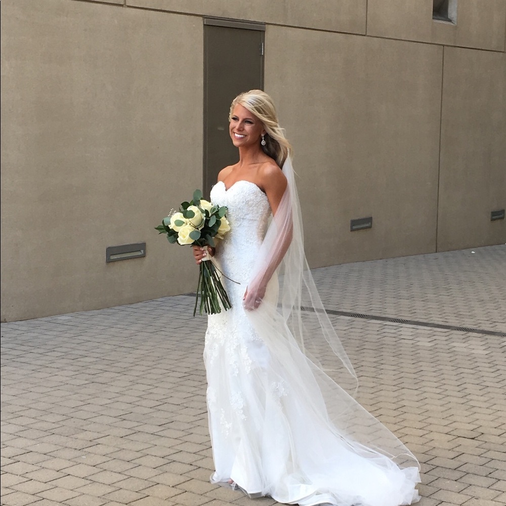 Stella York Wedding Dress with Veil!